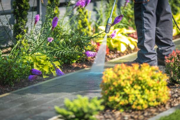 Portola Valley, CA Pressure Washing Services Company